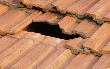 roof repair Pulham St Mary, Norfolk